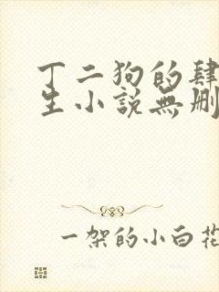 丁二狗的肆意人生小说无删减