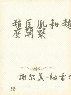 赵匡胤和赵构什么关系