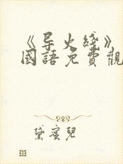 《导火线》电影国语免费观看封面