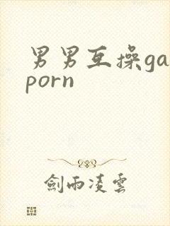 男男互操gayporn封面