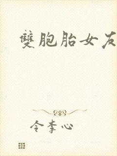 双胞胎女友漫画封面