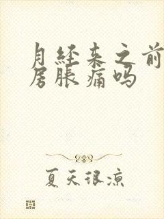 月经来之前会乳房胀痛吗