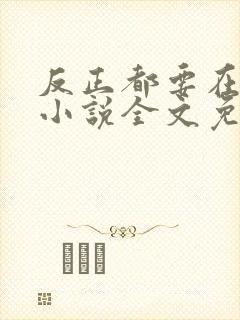 反正都要在一起小说全文免费阅读