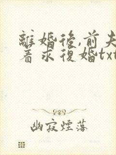 离婚后,前夫哭着求复婚txt
