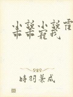 小说小说霍先生乖乖宠我