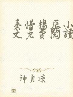 秦惜杨辰小说全文免费阅读无弹窗