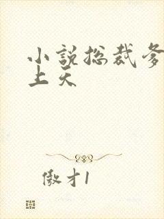 小说总裁爹地宠上天