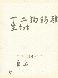 丁二狗的肆意人生txt封面