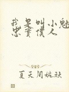 我是叫小魅魔的忠实仆人