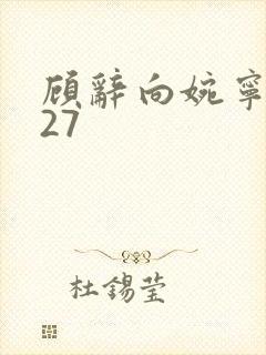 顾辞向婉宁番外27