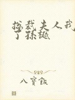 总裁夫人我当腻了孙樾