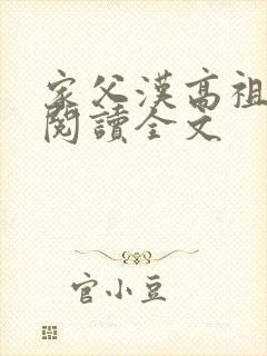 家父汉高祖免费阅读全文