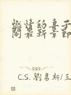 燃情的妻子笔趣阁最新章节免费阅读封面