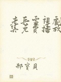 老兵电视剧40集免费播放