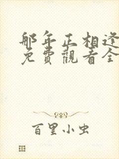 那年正相逢短剧免费观看全集