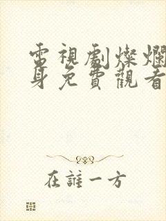 电视剧灿烂的转身免费观看高清