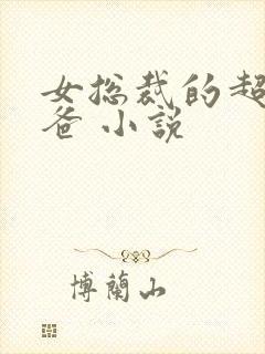 女总裁的超级奶爸 小说