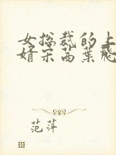 女总裁的上门女婿宋茜叶飞