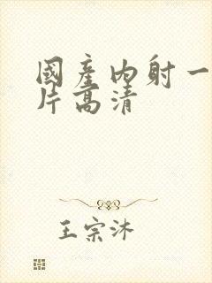 国产内射一级一片高清