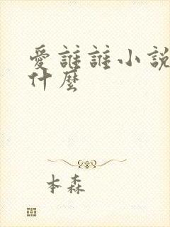 爱谁谁小说讲了什么