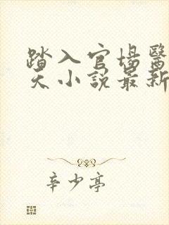 踏入官场医道问天小说最新章节封面