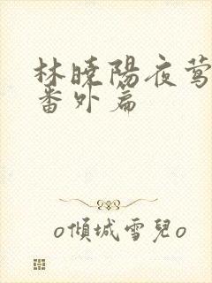 林晓阳夜莺续写番外篇