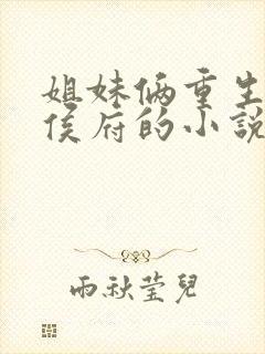 姐妹俩重生换嫁侯府的小说封面