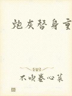 炮灰替身重生了封面