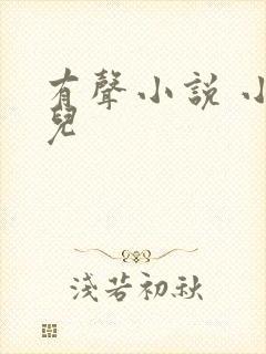 有声小说 小苮儿封面