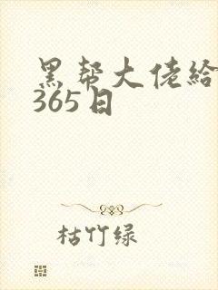 黑帮大佬给我的365日