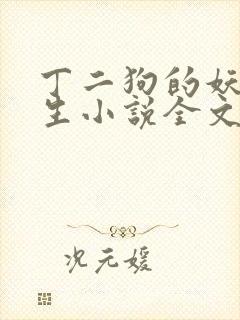 丁二狗的妖孽人生小说全文无删减