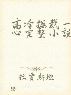 高冷总裁一见倾心完整小说