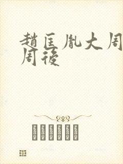 赵匡胤大周后小周后