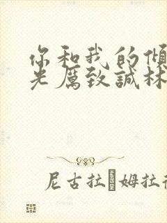 你和我的倾城时光厉致诚林浅