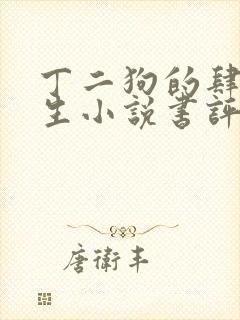 丁二狗的肆意人生小说书评