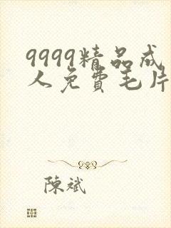 9999精品成人免费毛片在线看