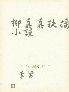 柳真真扶摇夫人小说