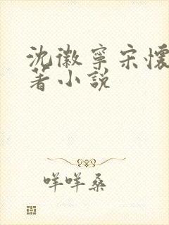 沈徽宁宋怀砚原著小说