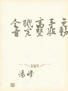 全职高手免费观看完整版动漫第二季封面