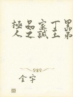 极品家丁黑暗同人之诚王第一部封面