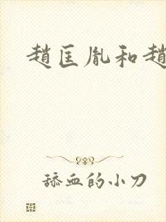 赵匡胤和赵匡义