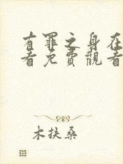 有罪之身在线观看免费观看高清