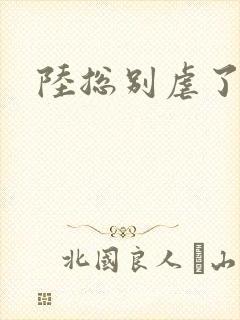 陆总别虐了结局