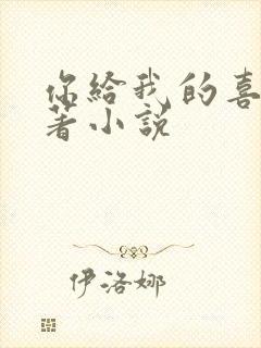 你给我的喜欢原著小说