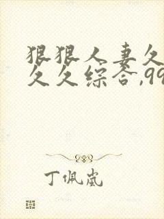 狠狠人妻久久久久久综合,99久久精品