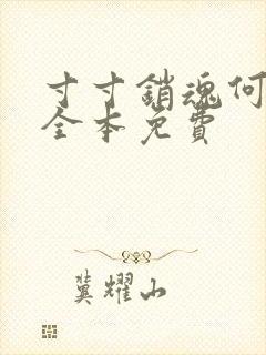 寸寸销魂何生祥全本免费封面