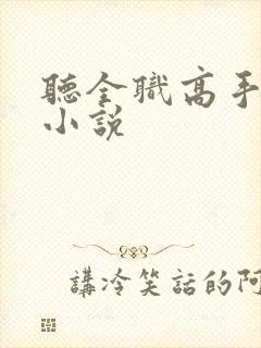 听全职高手有声小说