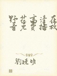 野花高清在线观看免费播放