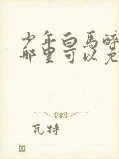 少年白马醉春风哪里可以免费看