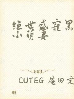 绝世盛宠黑帝的小萌妻封面